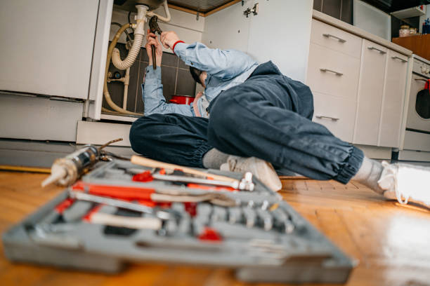 Best Plumbing Inspection Services  in Nellieburg, MS