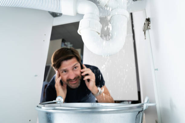 Best Gas Line Repair  in Nellieburg, MS